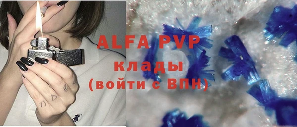 трава Аркадак