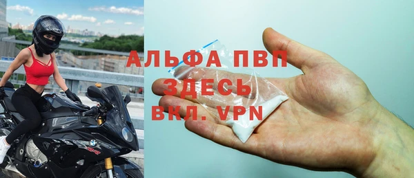сатива Арсеньев