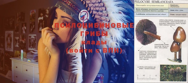 трава Аркадак