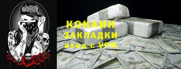 сатива Арсеньев