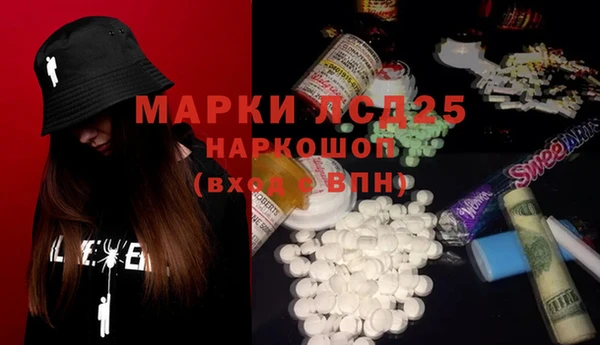 сатива Арсеньев