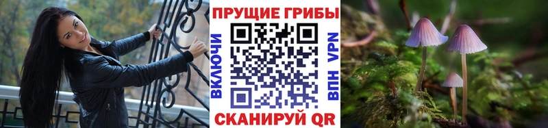 Галлюциногенные грибы Psilocybine cubensis  Красный Кут 